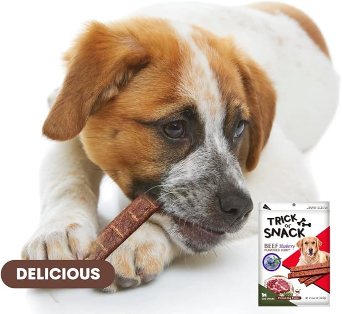 Premium 1lb Dog Jerky Treats | Dog Training | Dog Walking | Natural Grillers | Healthy Smoked Beef Chicken Salmon Chews Snacks Beef Blueberry Jerky