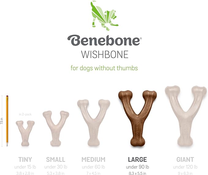 Benebone 2-pack Wishbone/Dental Durable Dog Chew Toys, Real Bacon, Made in USA, Large