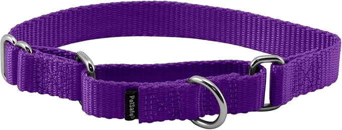 PetSafe Martingale Collar, 3/4" Small, Deep Purple