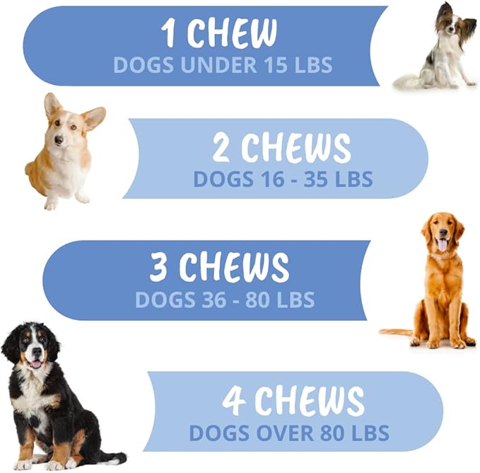 Under The Weather Pet Disc & Spine Health Chews for Dog | Vet Formulated Dog Chews Spinal Disc Support Supplement | Great for Dachshunds & Long Back Breeds with IVDD, Back & Joint Arthritis