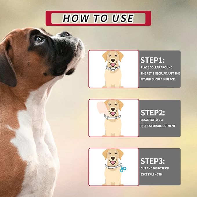 Flea and Tick Collar for Dogs, Flea and Tick Prevention for Dog, 27 Inch, 8 Month Protection, 1 Pack