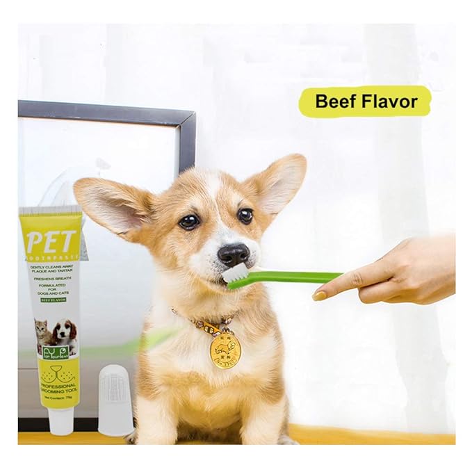 2 Pack Pet Toothbrush and Toothpaste for Dogs & Cats, Best Soft Silicone Pet Finger Toothbrush for Small Dogs Puppy Doggy, Dog Toothpaste Beef Flavor