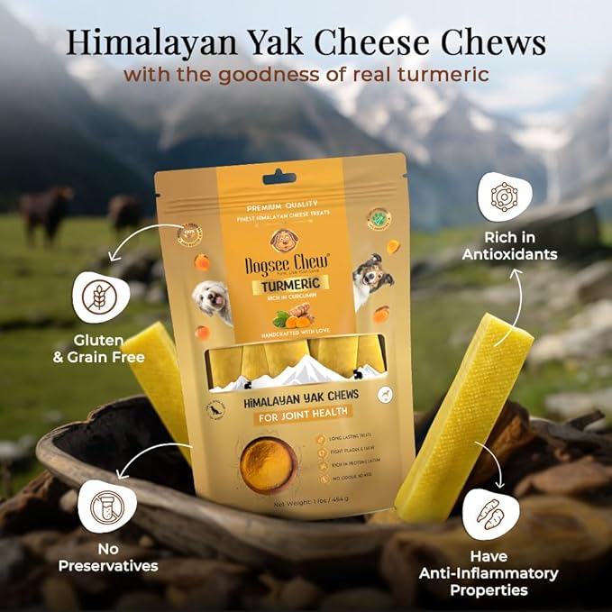 Dogsee Turmeric Flavor Himalayan Yak Cheese Dental Chews for Dogs 1lb (Medium - 6 Chews) | Anti-inflammatory | No Grain, No Gluten | Odorless Dog Treats
