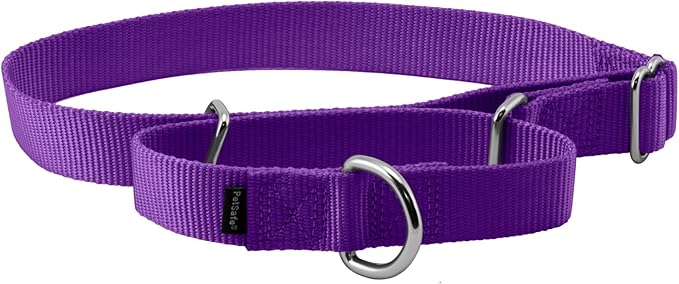 PetSafe Martingale Collar, 1" Large, Deep Purple