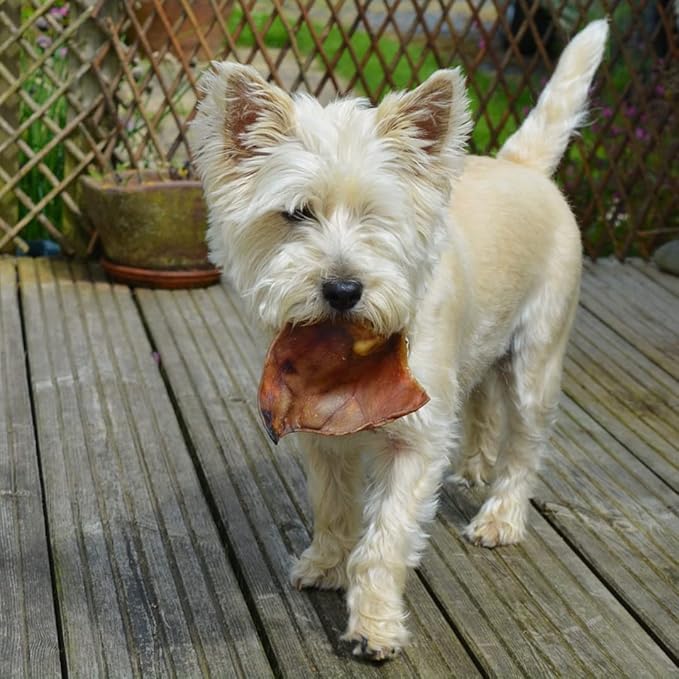 Chicken Jerky Dog Treats Single Ingredient and Made in USA