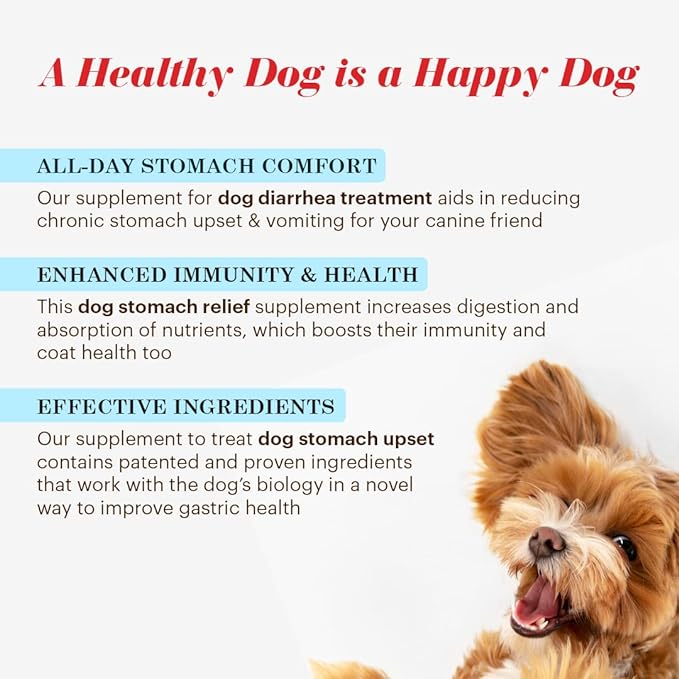 Alimend K9 - Dog Upset Stomach Relief for Nausea, Vomiting & Diarrhea - 6 Oz