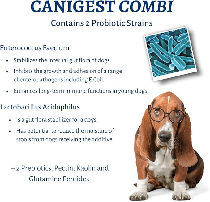 Canigest Combi - Diarrhea Treatment for Dogs | Stop Diarrhea in Hours | Combination of Pectin + Kaolin + 2 Probiotics + 2 Prebiotics | No Recurrence of Symptoms for Months - 32mL
