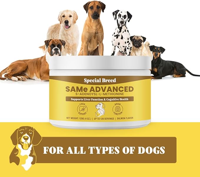 Same for Dogs - S-Adenosyl-L-Methionine, Same Advanced, Liver Support Supplement for Dogs, Brain and Cognitive Support, Sam e for Dogs (120 Grams, 2 Pack)