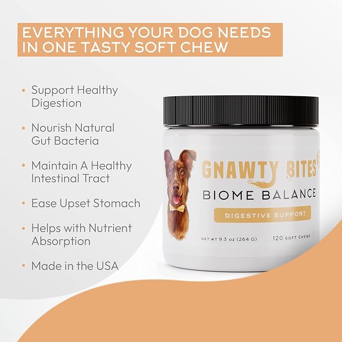 Gnawty Bites Biome Balance | Dog Digestive Support, 120 Soft Chews for Intestinal Balance Support | Dog Probiotics with Amylase, Protease, Lipase, and Lactobacillus | Probiotics for Dogs | (264 G)