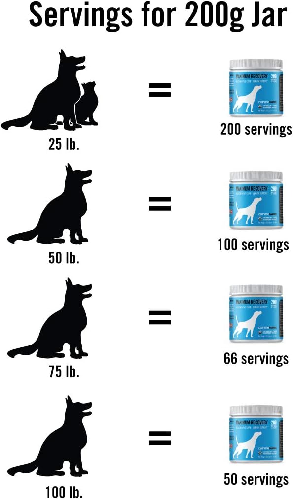 Canine Organic Mushroom Powder Skin and Coat Supplement, 200 Grams (Packaging May Vary)