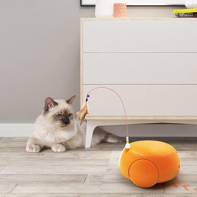 Pet Camera Treat Dispenser, Automatic Cat Feeders with Camera, Automatic Pet Feeder for Cats and Small Dogs with Night Vision Two Way Audio and Video (Support 2.4GHz Wi-Fi only, No Suscription Fee)