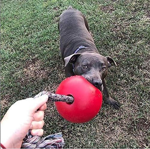 Jolly Pets Romp-n-Roll Rope and Ball Dog Toy, 8 Inches/Large, Red (608 RD)