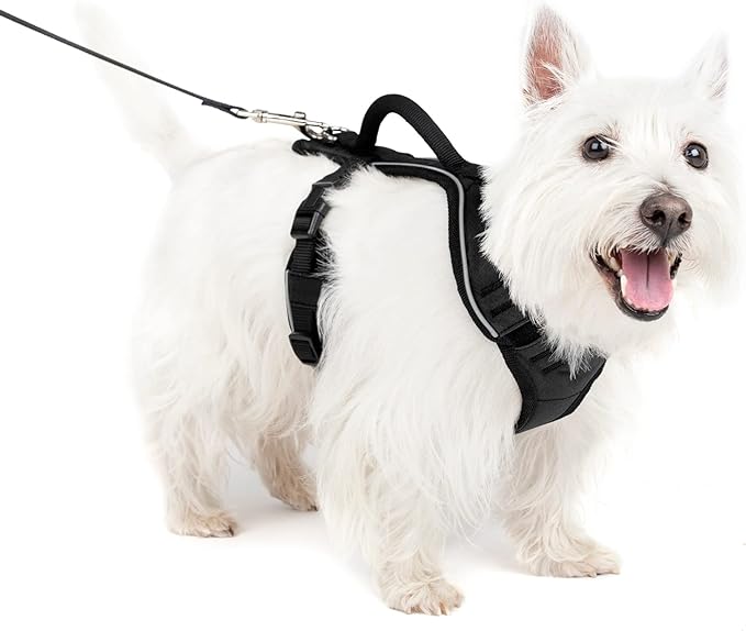 PetSafe EasySport Dog Harness – Adjustable, Padded Dog Harness with Control Handle and Reflective Piping – Small, Black