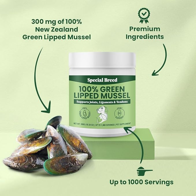 Green Lipped Mussels for Dogs & Cats - Premium Joint Supplement Powder for HIPS, Joints, and Muscles (300 Grams, Up to 1,000 Servings) - 2 Pack