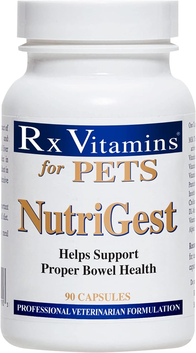 Rx Vitamins for Pets Nutrigest for Dogs & Cats - Helps Support Proper Bowel & Digestive Health - Veterinarian Formulated Probiotic - 90 Capsules