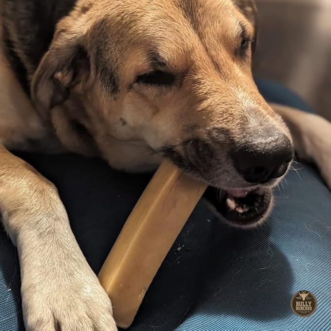 Bully Bunches Mega Authentic Yak Cheese Himalayan Chews for Giant Dogs & Super Aggressive Chewers - All Natural Dog Treat Dental Chews, Made with Real Yak Milk - Lactose & Rawhide Free (2 PK)