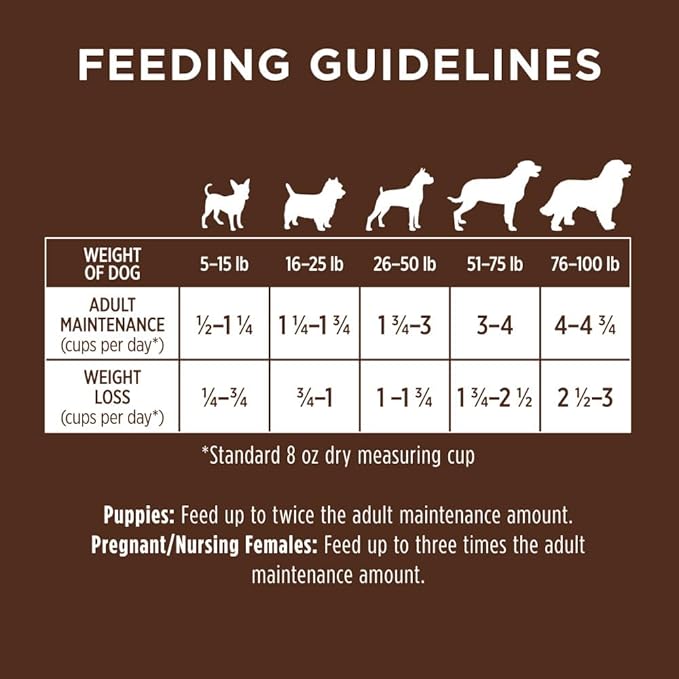 Instinct Be Natural Real Lamb & Oatmeal Recipe Natural Dry Dog Food, 24 lb. Bag