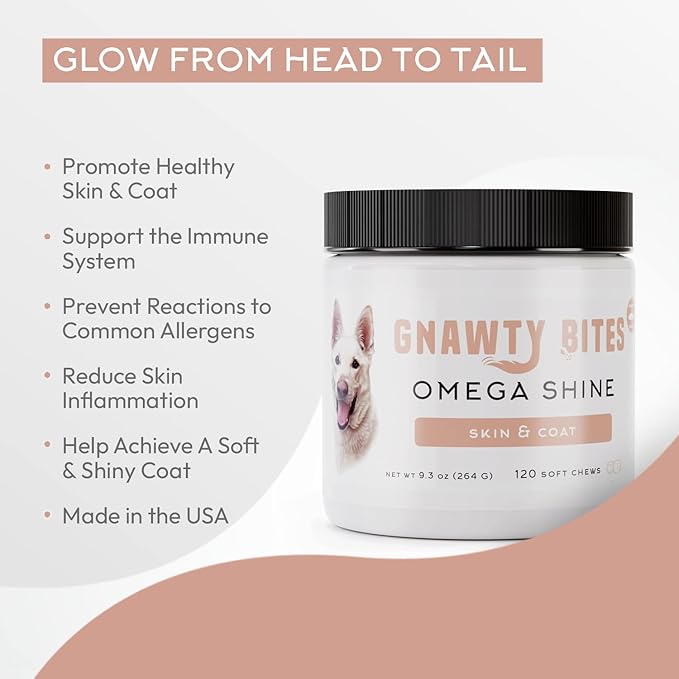 Gnawty Bites Omega Shine Dog Allergy Relief | Skin & Coat Strengthening Probiotics for Dogs with DHA Gold, Wild Alaskan Salmon Oil, Omega-6, Omega-9 & Omega-3 for Dog | 120 Soft Chews - (264 G)