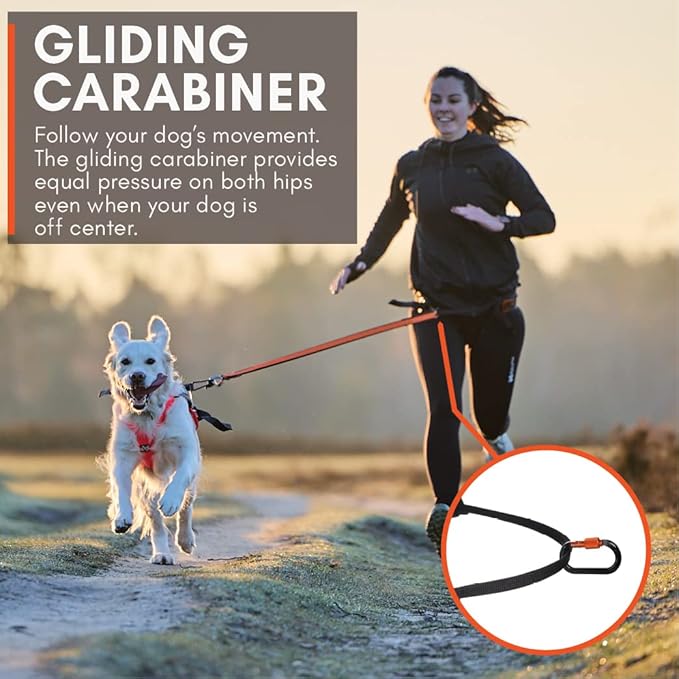 Non-stop dogwear CaniX belt Hands Free Dog Running Belt for Canicross. Comfortable Waist Belt for Jogging and Training Dogs. Black, Size M