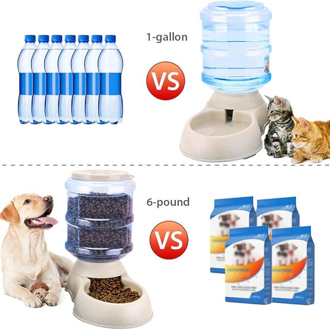 Pet Feeding Solution Automatic Cat & Dog Cafe Feeder and Water Dispenser in Set with Food Scoop - Ito Rocky 6-Meal Automatic Food Dispenser for Small/Middle Puppy and Kitten