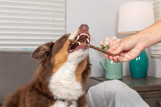 Sizzle Sticks Jerky Dog Treats | 12 oz. Bag | Product of USA - Smells Great | Turkey