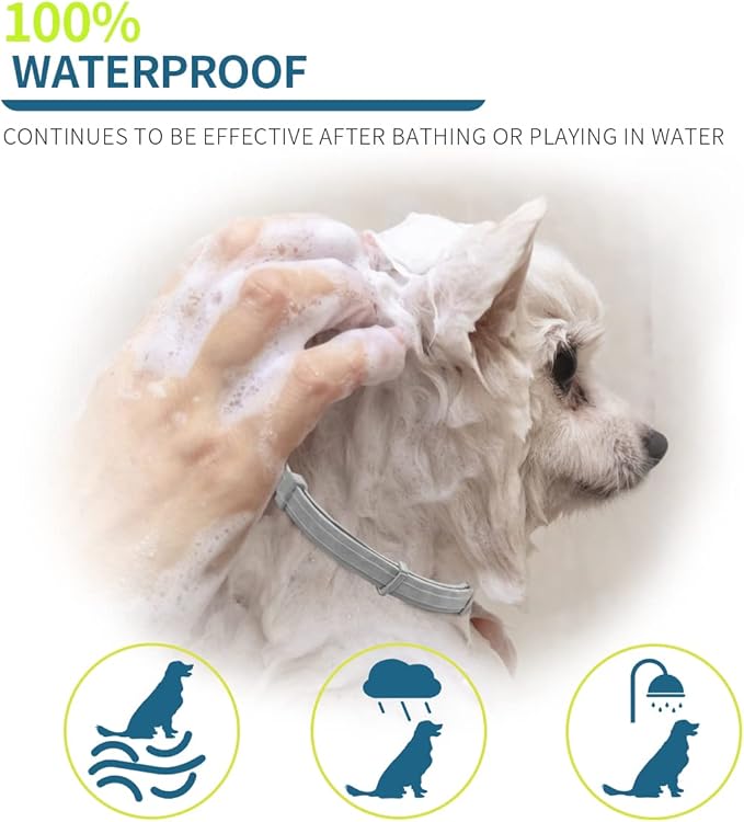 Flea and Tick Collar for Dogs, 8 Month Flea and Tick Prevention for Dogs, 27 inch Adjustable