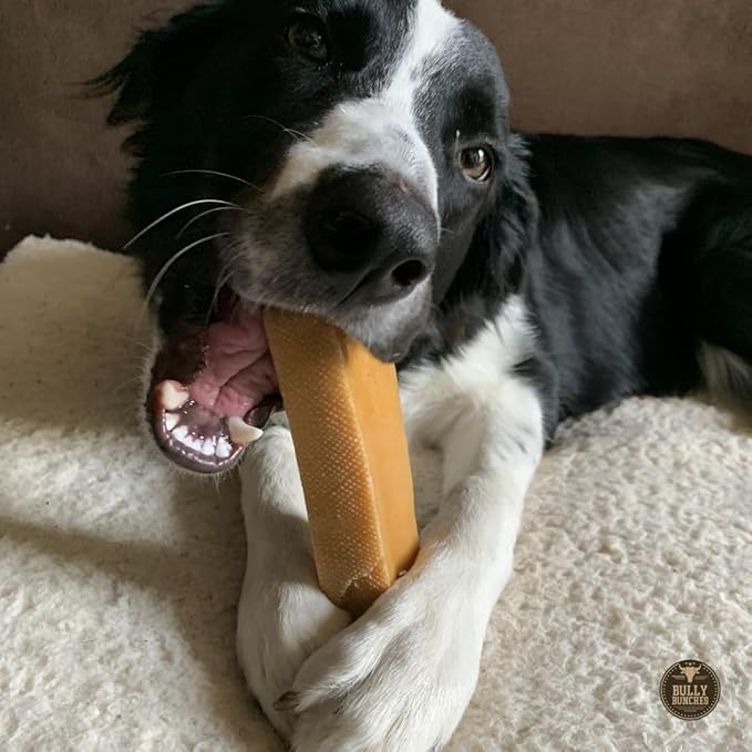 Bully Bunches Mega Authentic Yak Cheese Himalayan Chews for Giant Dogs & Super Aggressive Chewers - All Natural Dog Treat Dental Chews, Made with Real Yak Milk - Lactose & Rawhide Free (4 PK)