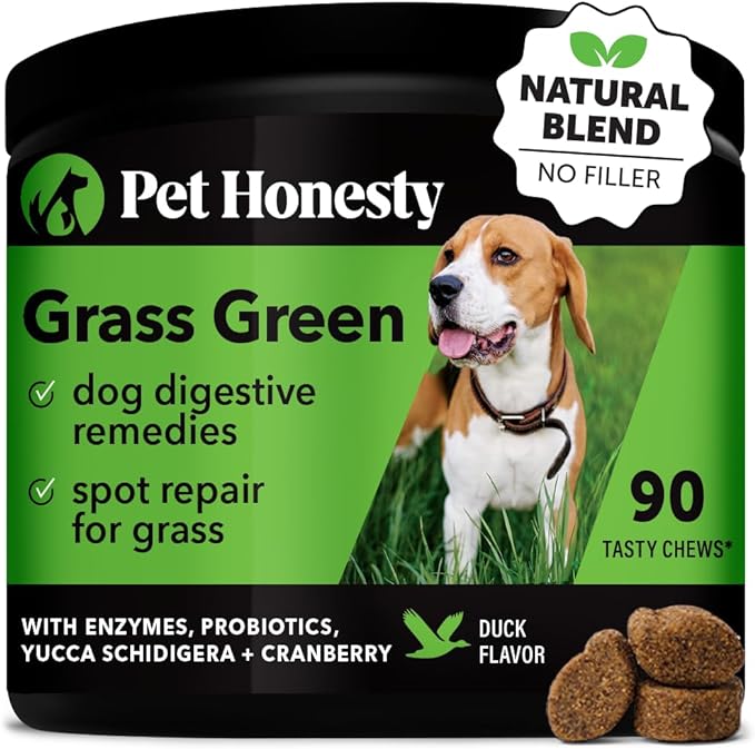Pet Honesty Grass Green - Pee Grass Spot Saver Caused by Dog Urine, Gut Health Probiotics, Dog Urine Neutralizer for Lawn, Grass Burn Spot Chews, Cranberry, Apple Cider Vinegar, Dog Rocks (Duck 90 ct)