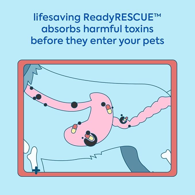 ReadyRESCUE - Pet Detox for Dogs, Cats, & Pets - First Response for Eating or Ingesting Emergencies - Activated Charcoal, Carbon - Rapid Solution to Absorb Toxins, 4 Pack (12 vials of 30g)