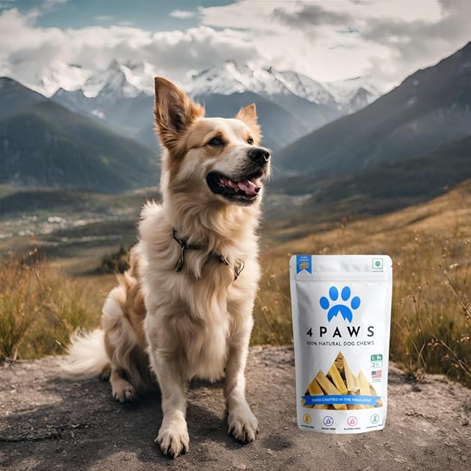 100% Natural Himalayan Yak Cheese Dog Chews, Long-Lasting Dog Treats, Lactose Free, Gluten Free | 5 Count (Small)