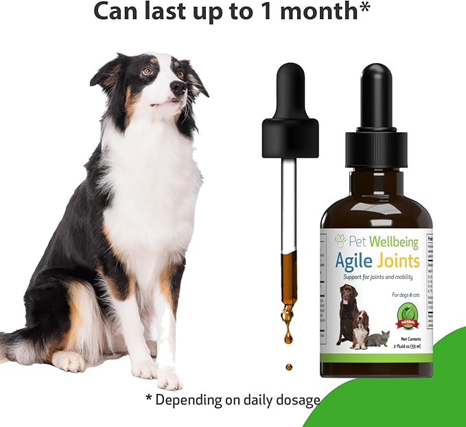Pet Wellbeing Agile Joints for Dogs - Vet-Formulated - Joint Health, Mobility, Ease of Movement - Natural Herbal Supplement 2 oz (59 ml)