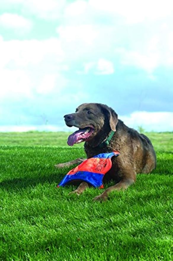 Chuckit! Kick Fetch Ball, Small & Flying Squirrel, Medium, Orange/Blue, Dog Toys for Medium Breeds