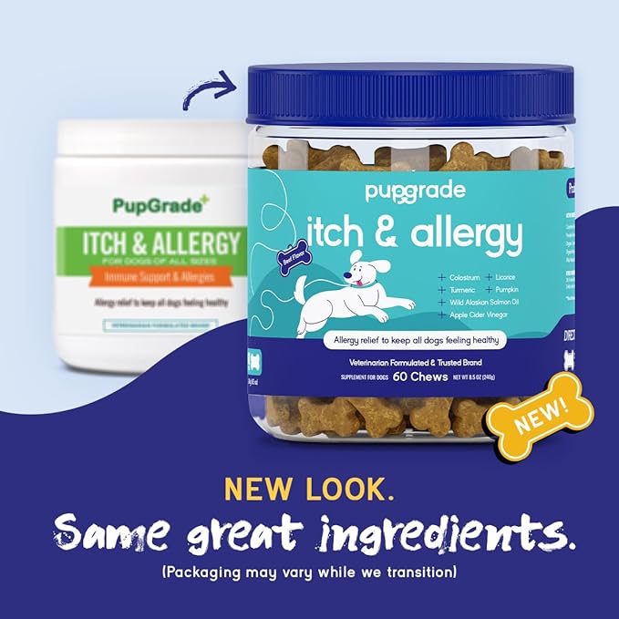 PupGrade Itch & Allergy Chew Supplement for Dogs Improved Immune Support & Seasonal Allergies with Alaskan Salmon Fish Oil - Helps with Anti-Itch - 60 Soft Chews