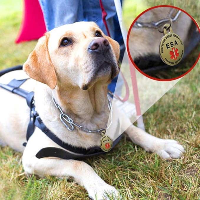 DOUBLE SIDED Emotional Support Animal ESA Tag Red Medical Alert Symbol and Protected by Federal Law 1.25 inch ID. Easily switch between collars harness and vest.