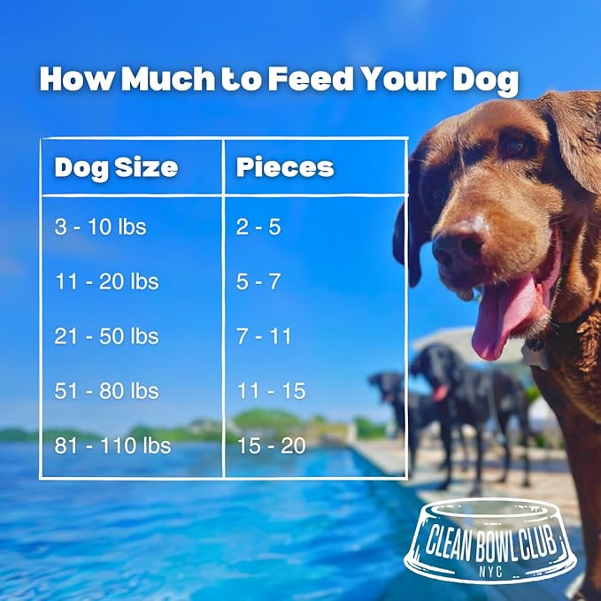 Freeze Dried Beef Liver | One Ingredient | High Protein Dog Treat | Grain Free | Made in USA | Net Weight 3 oz