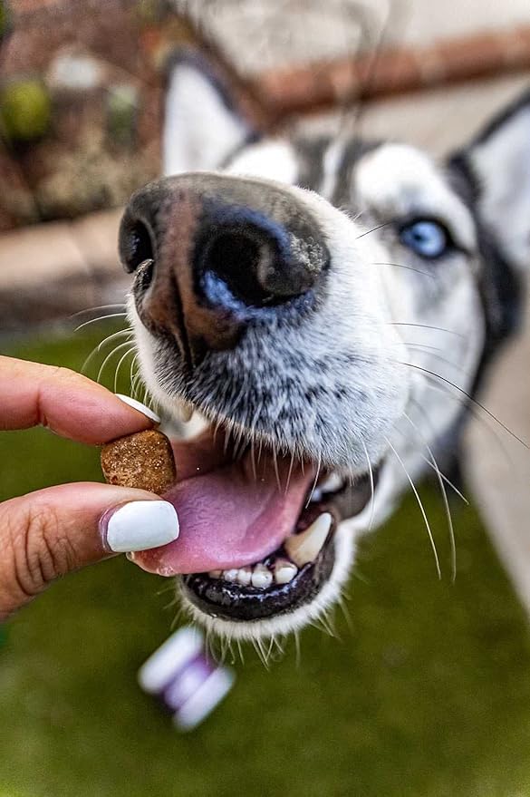 Natural Rapport Dog Multivitamin - The Only Multivitamin Soft Chews That Dogs Need - 120ct Contain Zinc, and Manganese to Support Functions and Keep Dog Healthy