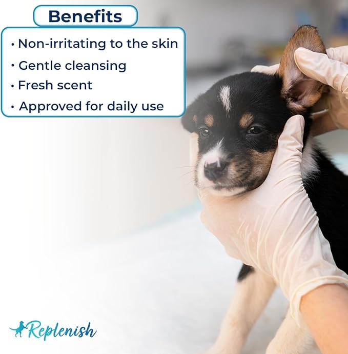 Replenish Ear Cleaner for Dogs and Cats - Dr. Rachel's Alcohol Based Gentle Ear Cleansing Solution with Aloe Vera-Infused Cucumber Melon Scent - 8 oz