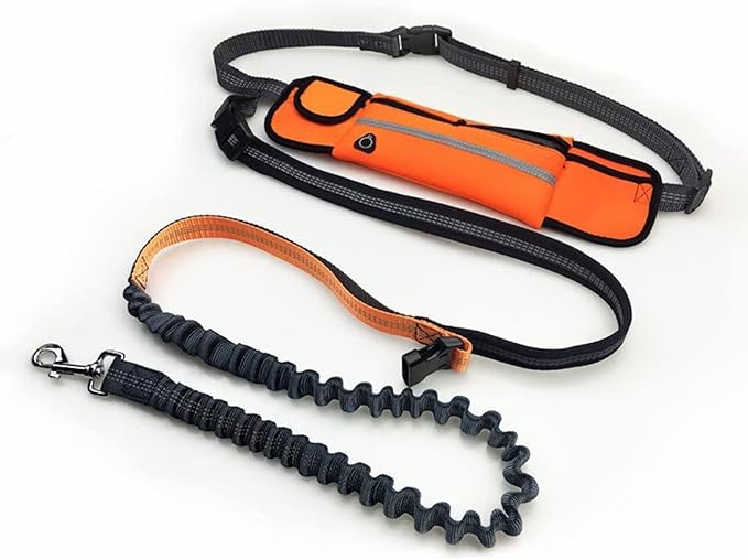 Hands Free Dog Leash with Pouch, 2 in 1 Retractable Dual Handle Bungee Waist Leash Rope for Small and Large Dogs, Adjustable Length Belt Suitable for Running, Walking, Jogging, Hiking, Training