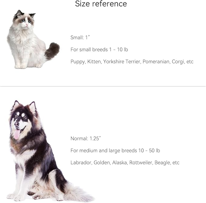 QR Code Cat Tag, Modifiable Pet Online Profile, Multiple Emergency Contact, Scannable QR Code, Instant Location Email alert, Collar Accessories (Medium to Large Breeds - 1.25", White)