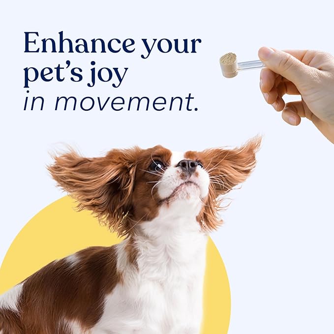 Honest Paws Mobility Bone and Joint Supplement for Dogs - Enhance Bone Health Lubricate Joints - Green Lipped Mussel, Glucosamine, Fish Oil, Chondroitin Sulfate, MSM, Vitamin C with Natural Flavors