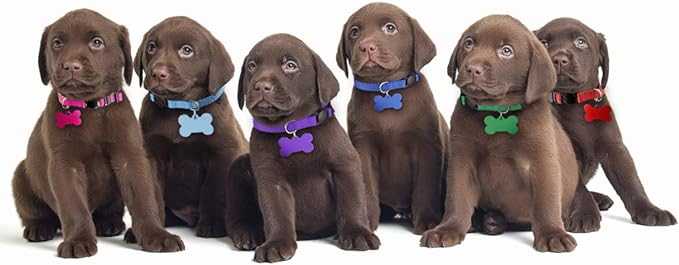 Upgraded Puppy Collars for Litter Puppy ID Collars Whelping Supplies Soft Nylon Breakaway Coloured Collars with 12 ID Tags and 6 Record Keeping Charts(S)