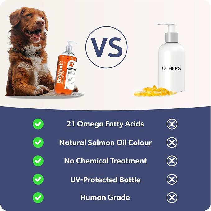 Brilliant Salmon Oil for Dogs, Cats & Puppies | Omega 3 Fish Oil Liquid Supplement with DHA, EPA Fatty Acids | Supports Skin and Coat, Immune System & Joint Function | Hofseth BioCare (34oz)
