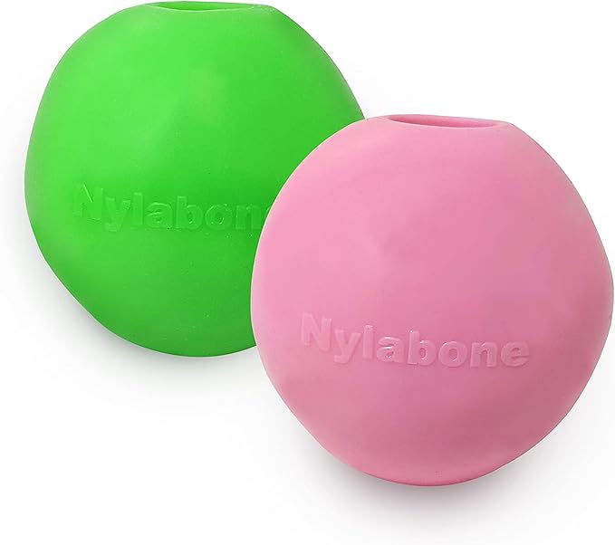 Nylabone Power Play Gum-a-Ball toy for Dogs One Size (2 Count)