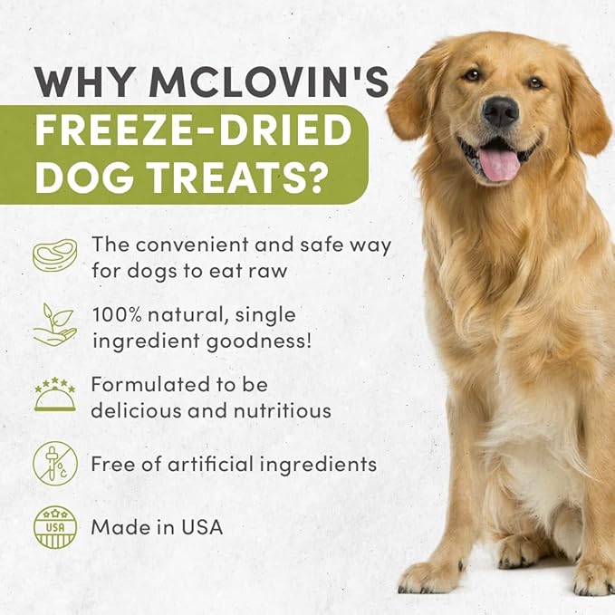 McLovin's Freeze Dried Salmon Treats for Dogs - High-Protein, Grain-Free - All-Natural Healthy Freeze Dried Dog Treats- Made in The USA - Perfect High Value Training Reward – 2×2.5oz(5oz)