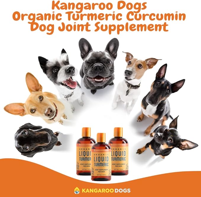 Organic Turmeric Curcumin Dog Joint Supplement - Liquid for Faster and Better Absorption Natural Dog Joint Supplement Liquid (8 oz)