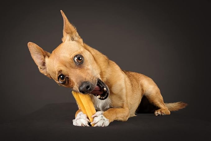 Yak Cheese Dog Treats - Natural Yak Chews from Himalayan Mountains - For Aggressive Chewers - Small, Value Pack 9 Chews - Grain Free, Lactose Free - Easily Digestible, Promotes Oral Health