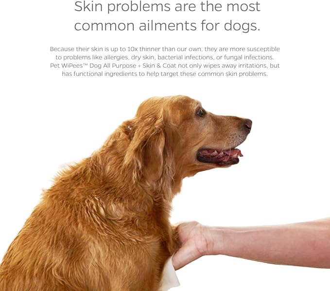 Pet Parents® Pet WiPees™ Dog All Purpose + Skin & Coat Pet Wipes, Pet Wipes for Dogs, Dog Wipes & Puppy Wipes, Paw Wipes for Dogs (100 Count (Pack of 1), Calming)