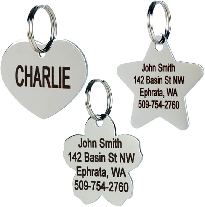 GoTags Dog Tags Personalized Engraved Pet ID Tags, Stainless Steel, Front and Backside Engraving, Available in Bone, Round, Heart, Bow Tie and More, Small and Large Dog and Cat (Pack of 1)