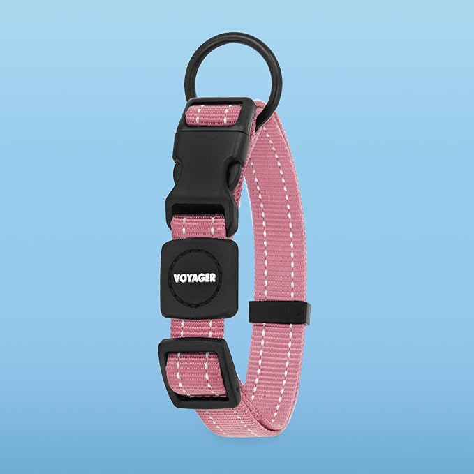 Voyager Reflective Dog Leash Collar Set with Neoprene Handle Supports Small, Medium, and Large Breed Puppies, Cute and Heavy Duty for Walking, Running, and Training - Pink, M