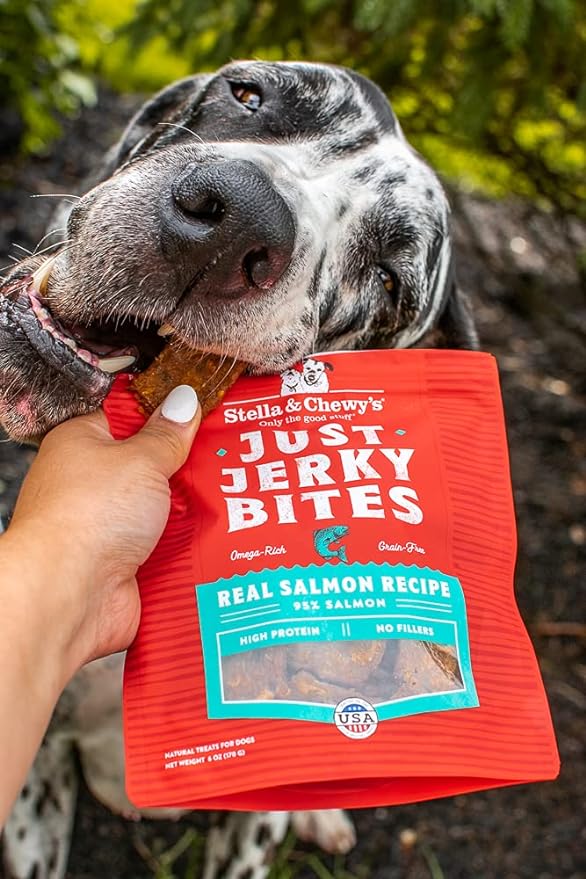 Stella & Chewy's Just Jerky Bites Real Chicken Recipe Dog Treats, 6 oz. Bag